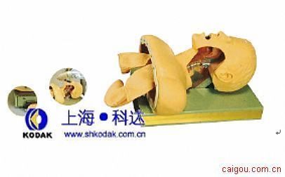 高级经典气管插管训练模型(新品上市)