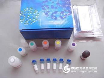 人α2抗纤溶酶(α2-AP)ELISA试剂盒(大鼠,小鼠,兔子)