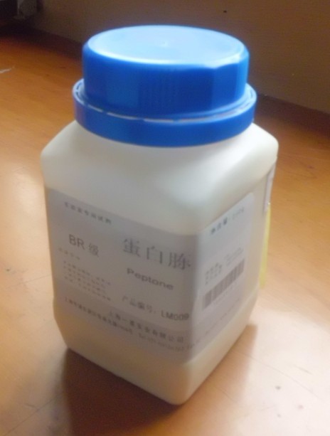植物DNA的粗提取与鉴定个50人，25组