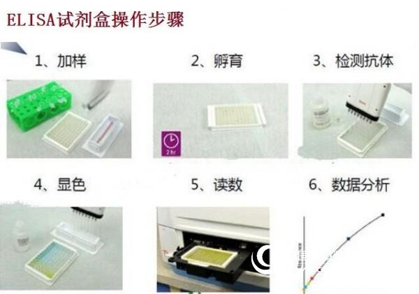 鸡白血病抑制因子(LIF)ELISA试剂盒保质期