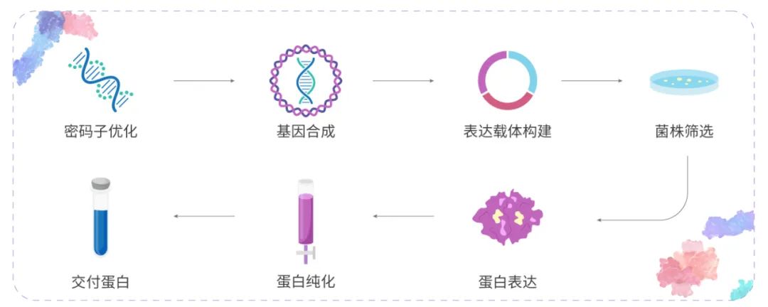 科研助攻丨重组蛋白，看这篇就够了！- MecChemExpress