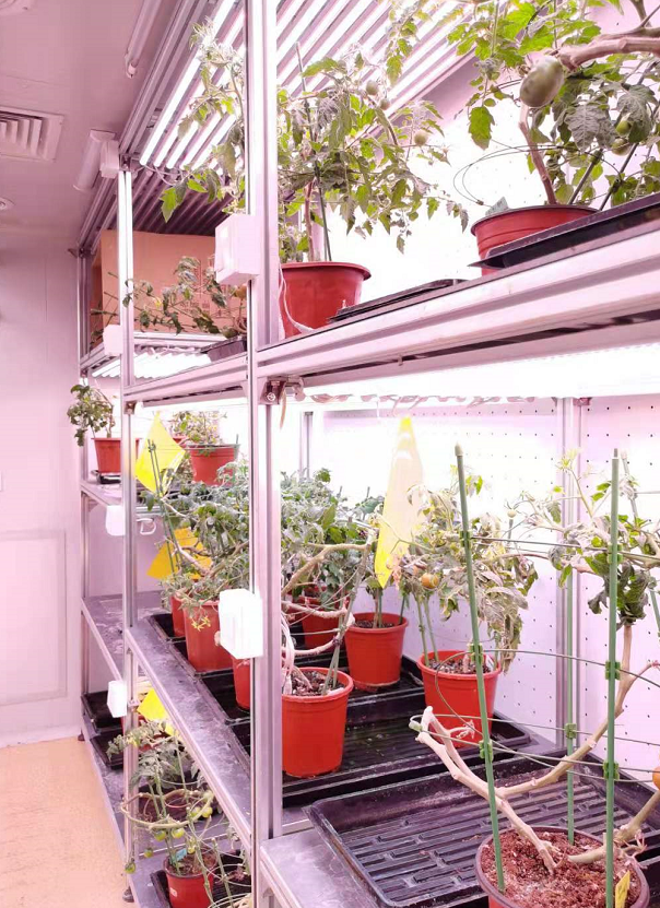 杭州利全+培養架型人工氣候室